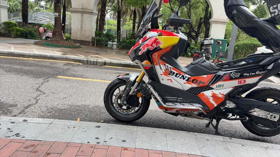 二手三阳剑齿虎 ADXTG