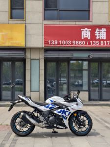 二手豪爵铃木GSX250R
