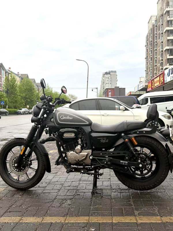 二手赛科龙RA250