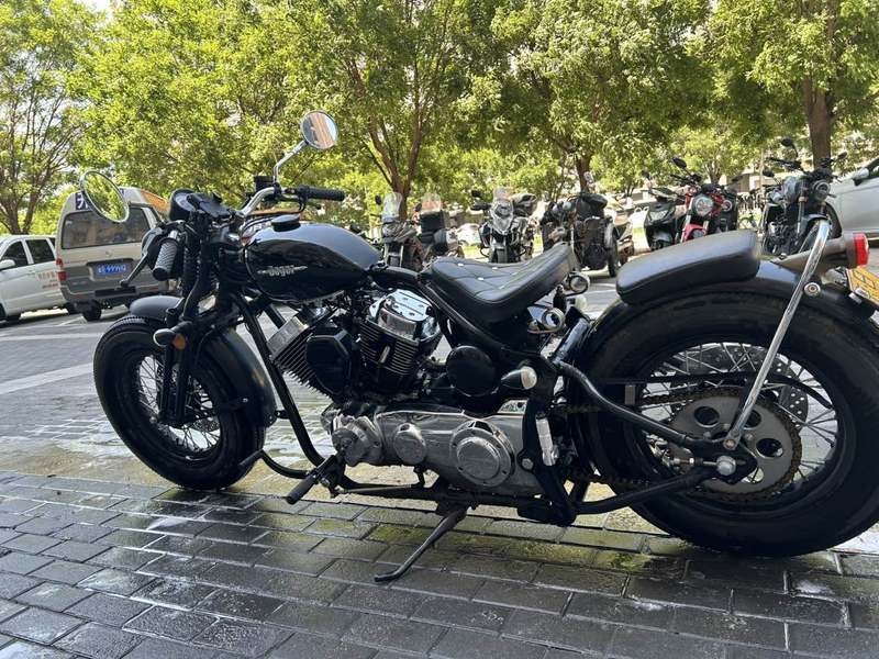 二手柴特博格 V250 软尾版