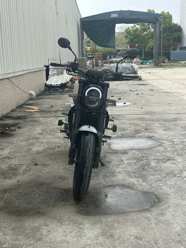 二手贝纳利幼狮 Leoncino 250