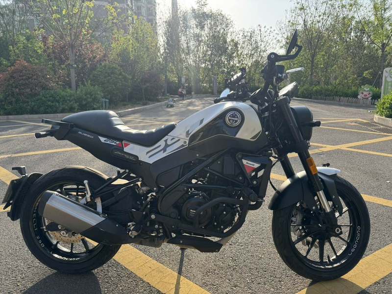 二手贝纳利幼狮 Leoncino 250