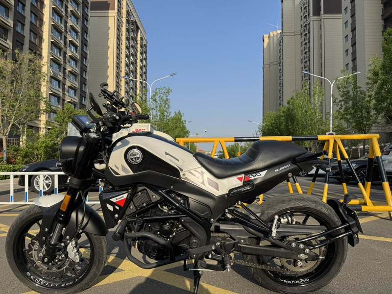 二手贝纳利幼狮 Leoncino 250