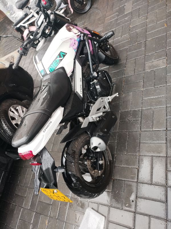 二手春风ST狒狒