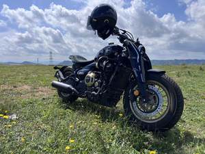 二手赛科龙RA600