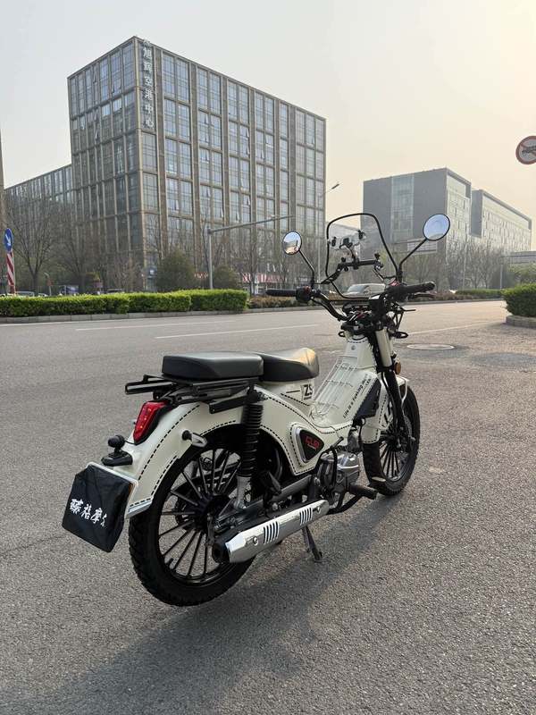 二手宗申野米Yemi