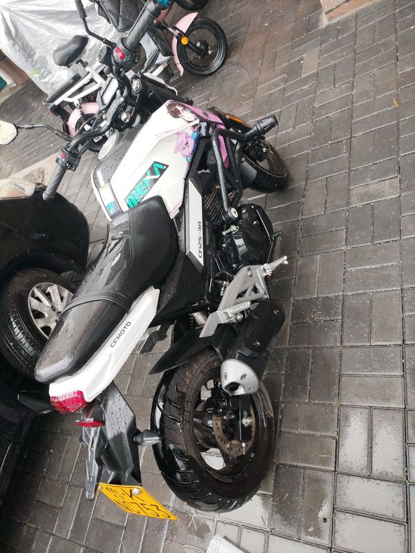 二手春风ST狒狒