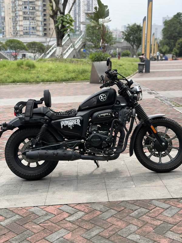 二手赛科龙RA250