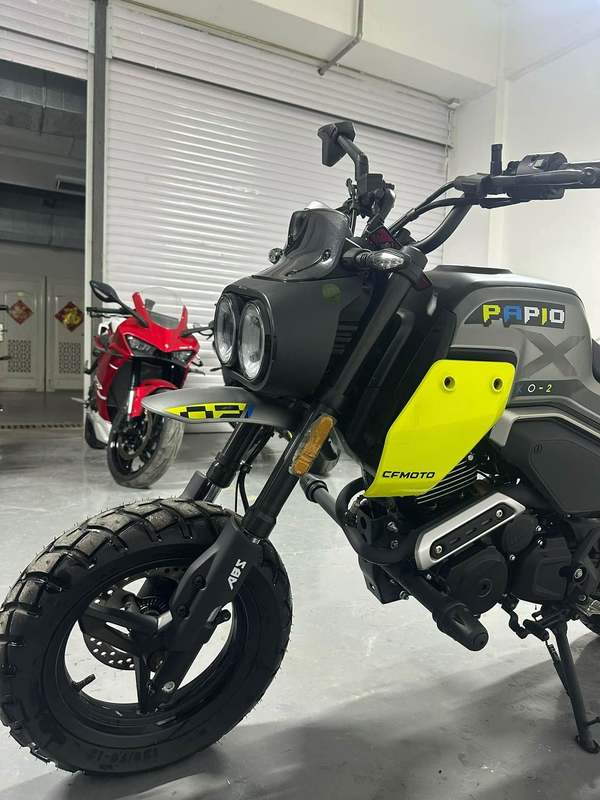 二手春风XO狒狒