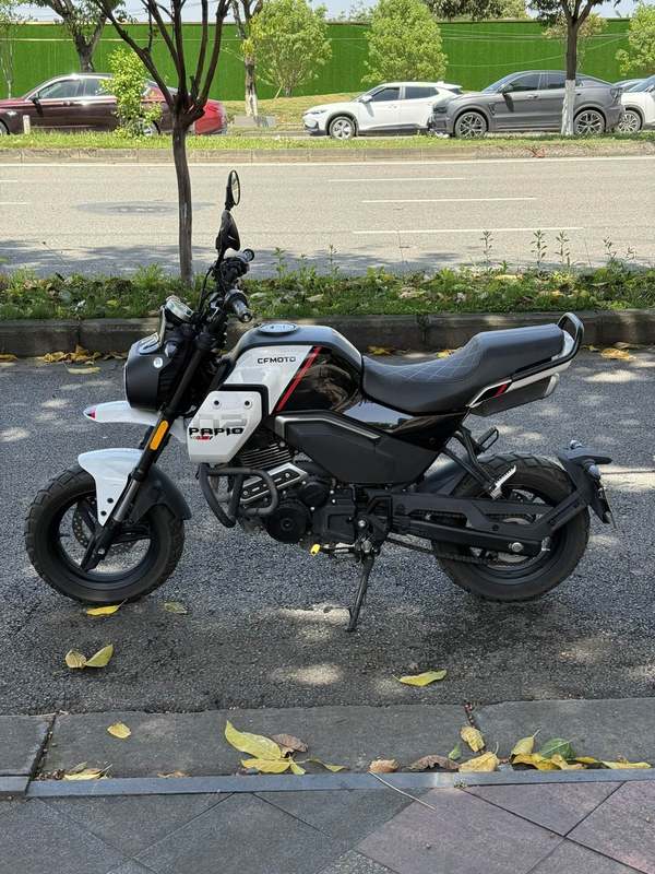 二手春风XO狒狒