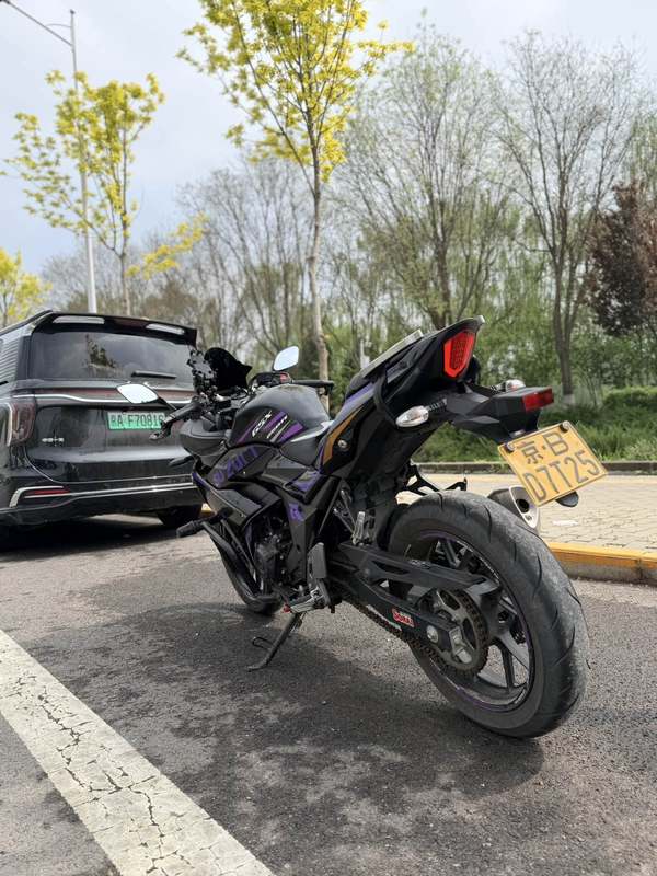 二手豪爵铃木GSX250R