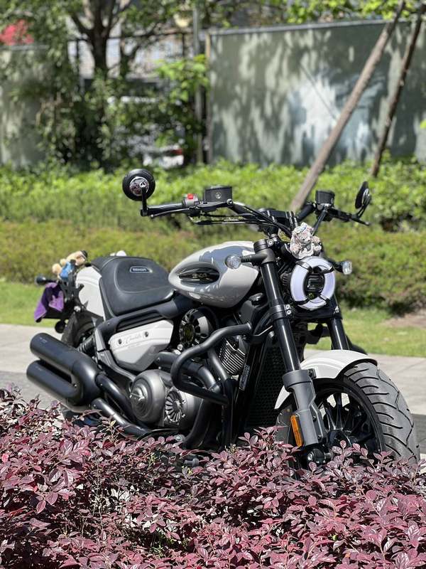 二手奔达金吉拉350