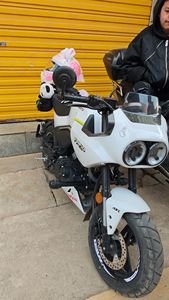 二手春风XO狒狒