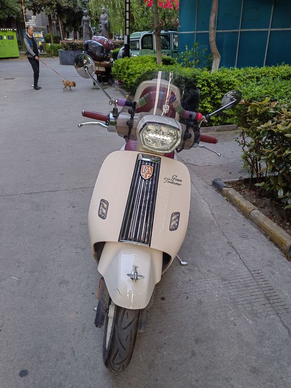 二手ROYAL ALLOYGT150