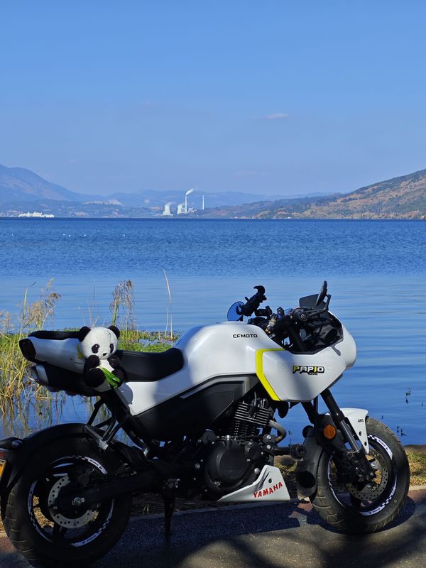 二手春风XO狒狒