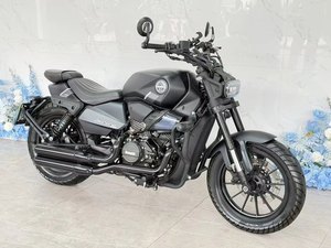 二手贝纳利哈伦252