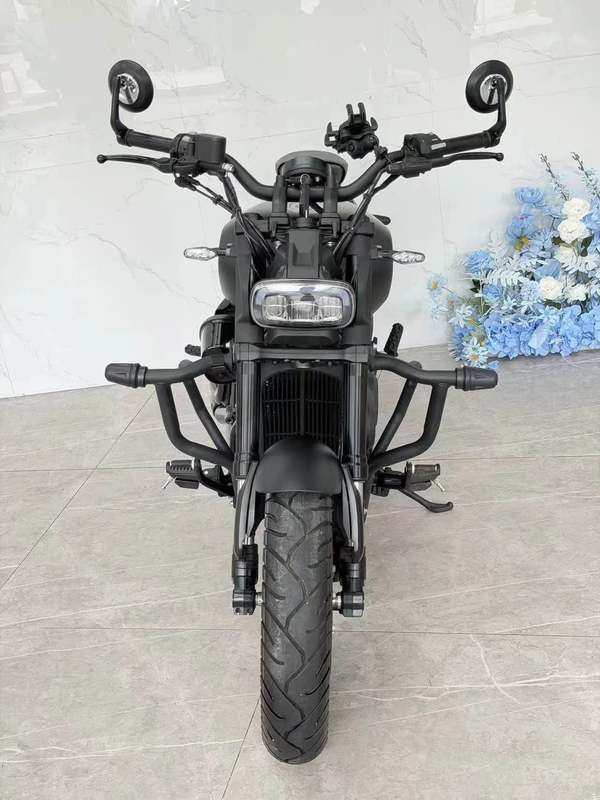 二手贝纳利哈伦252