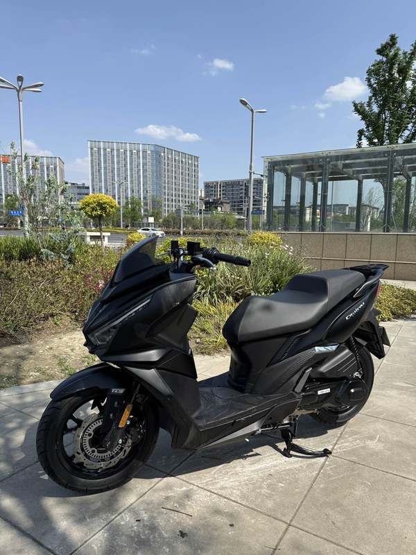 二手三阳巡弋 Cruisym150