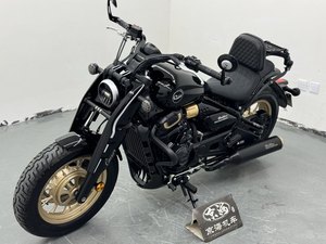 二手赛科龙RA600