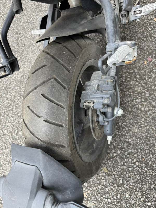 二手春风XO狒狒