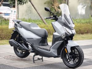 二手三阳Joymax F 300