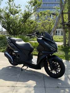 二手三阳巡弋 Cruisym150