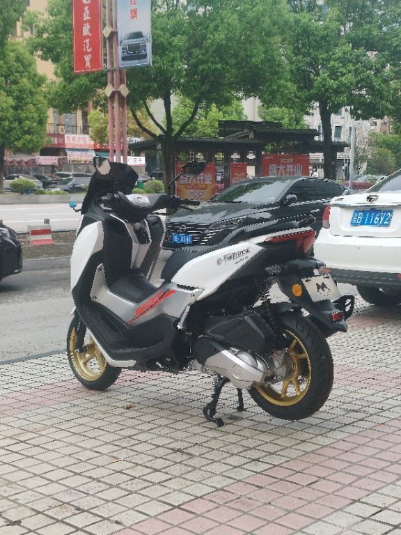二手摩途威玄武