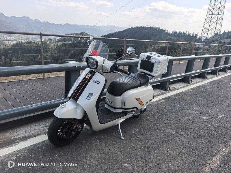 二手ROYAL ALLOYGT150