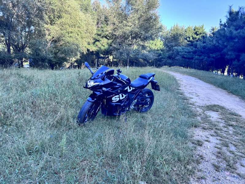 二手豪爵铃木GSX250R