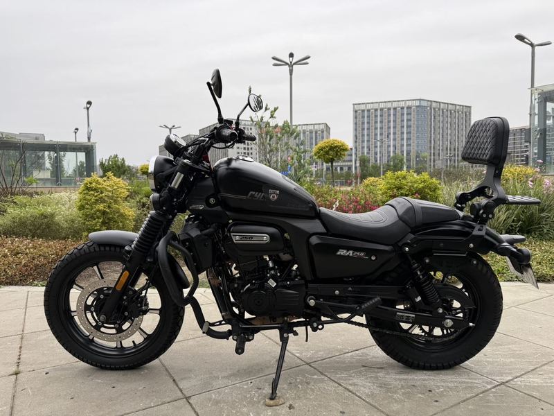 二手赛科龙RA250