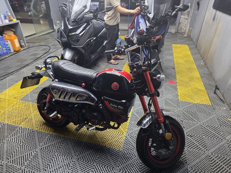 二手斯托纳猿猴