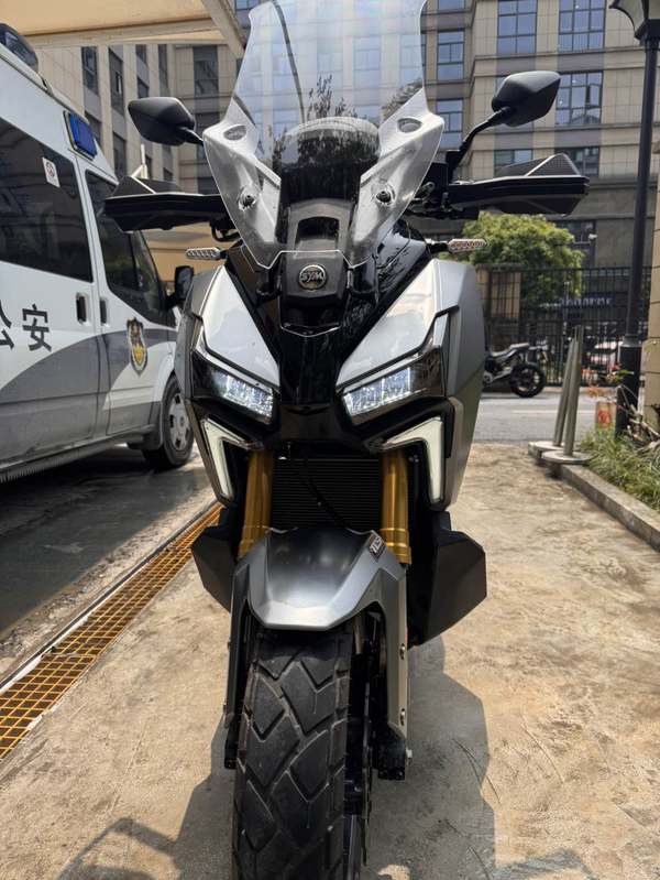 二手三阳剑齿虎 ADXTG