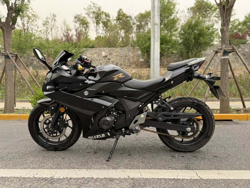 二手豪爵铃木GSX250R