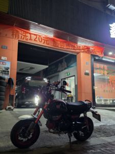 二手斯托纳猿猴