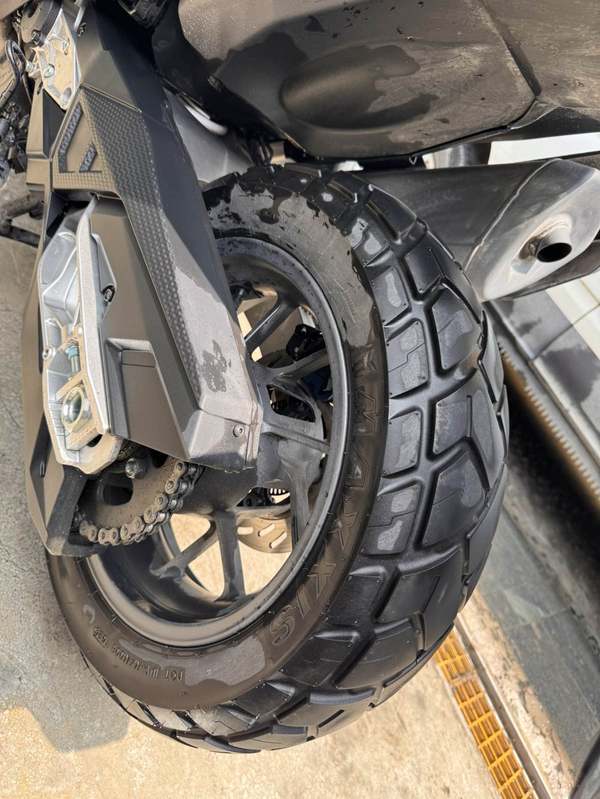 二手三阳剑齿虎 ADXTG