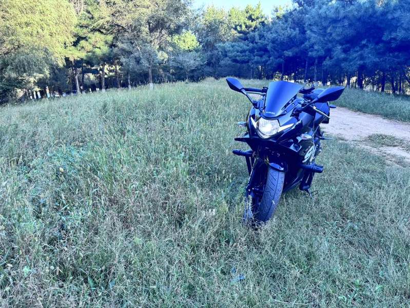 二手豪爵铃木GSX250R