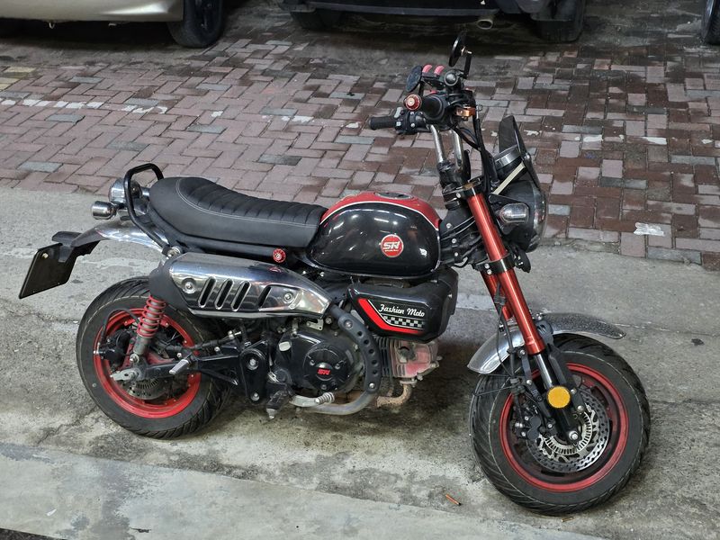 二手斯托纳猿猴