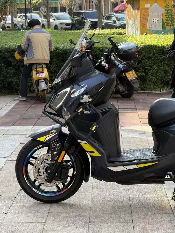 二手三阳Joymax F 300