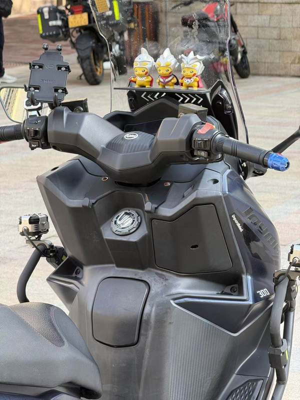 二手三阳Joymax F 300