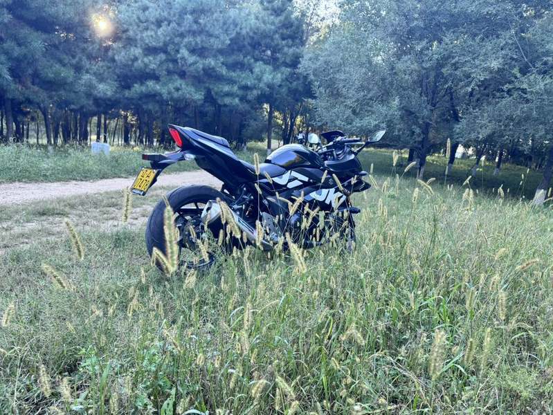 二手豪爵铃木GSX250R