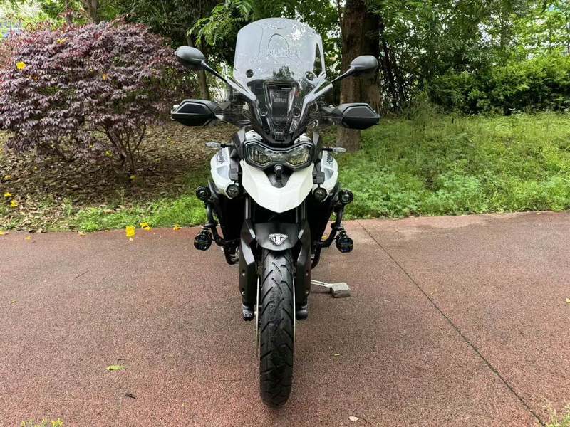 二手凯旋Tiger 900