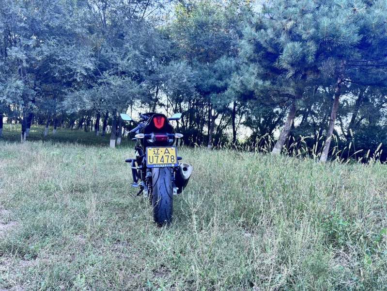 二手豪爵铃木GSX250R