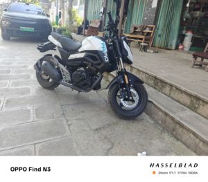 二手春风ST狒狒