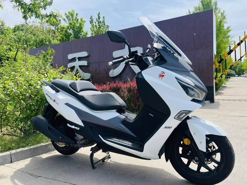 二手三阳Joymax Z 300