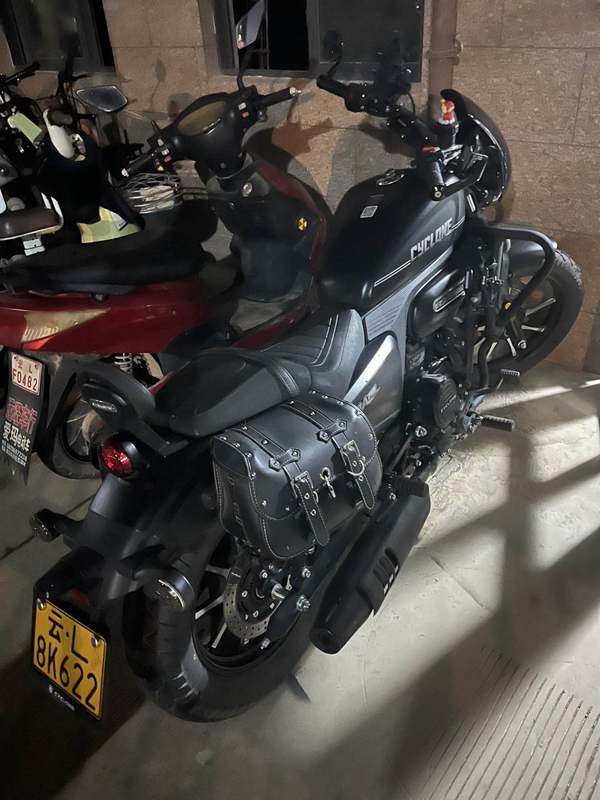 二手赛科龙RA250