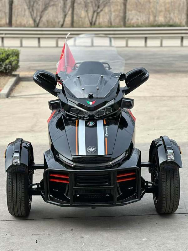 二手庄威威迪南