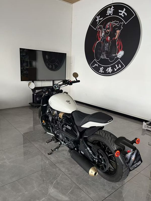 二手赛科龙RA600