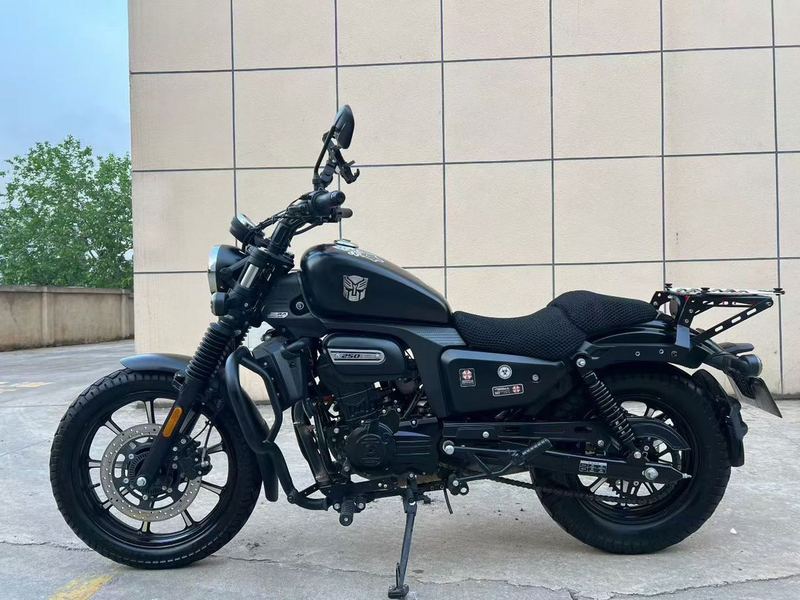 二手赛科龙RA250