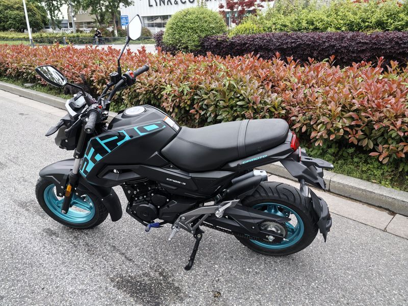 二手春风ST狒狒