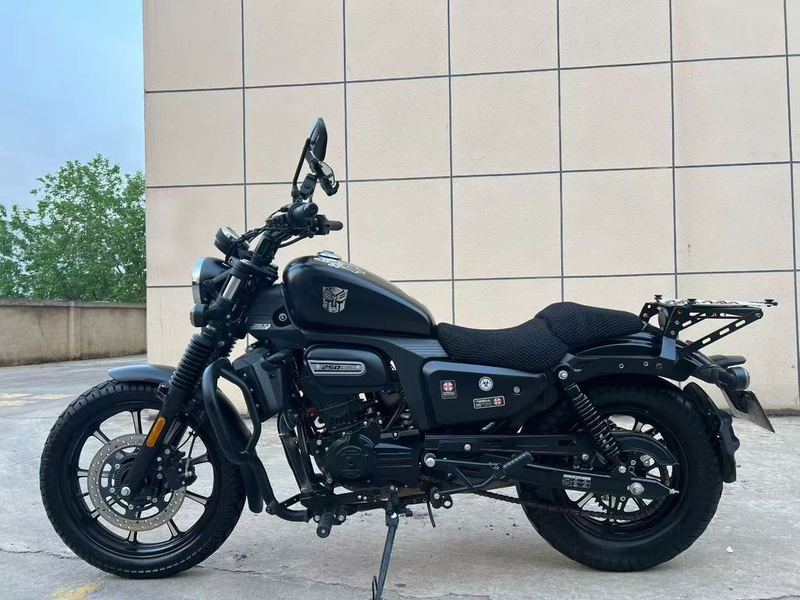 二手赛科龙RA250